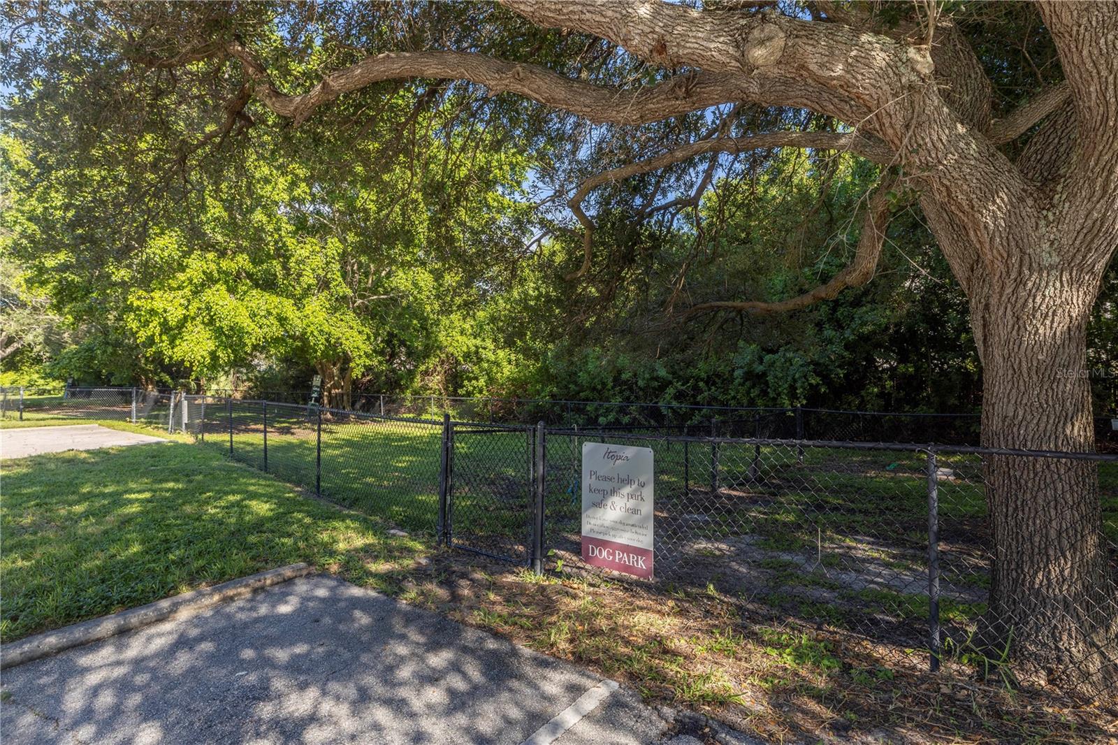 dog park