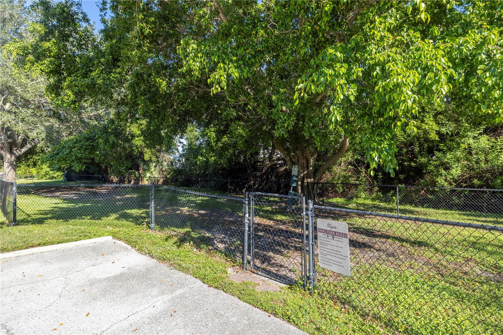 dog park