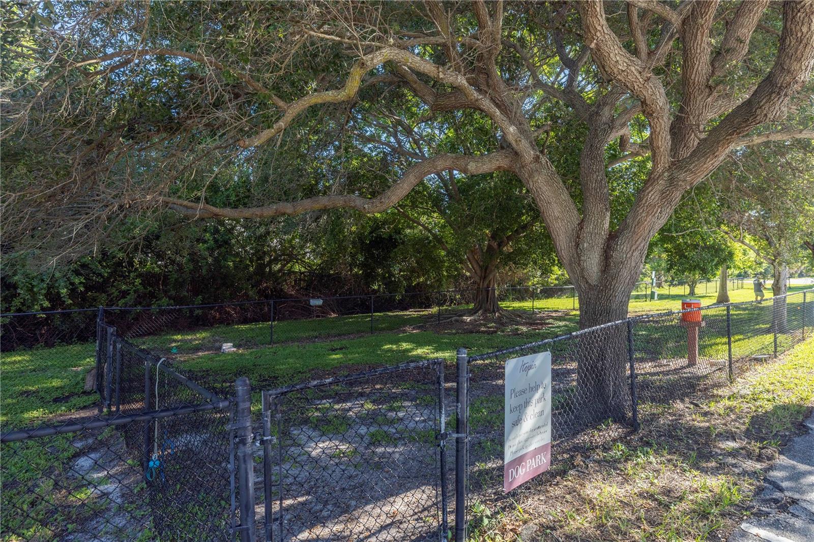 dog park