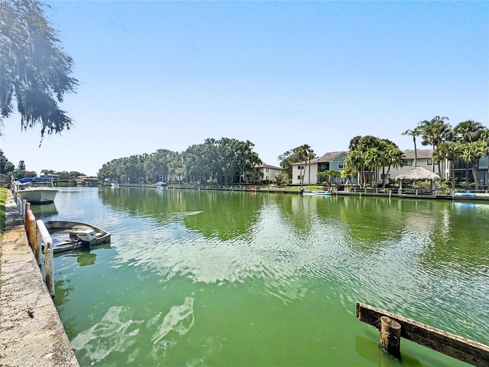 6328 NEWTOWN CIRCLE, #B4, Tampa, FL 33615 6328 NEWTOWN CIRCLE, #B4, Tampa, FL 33615