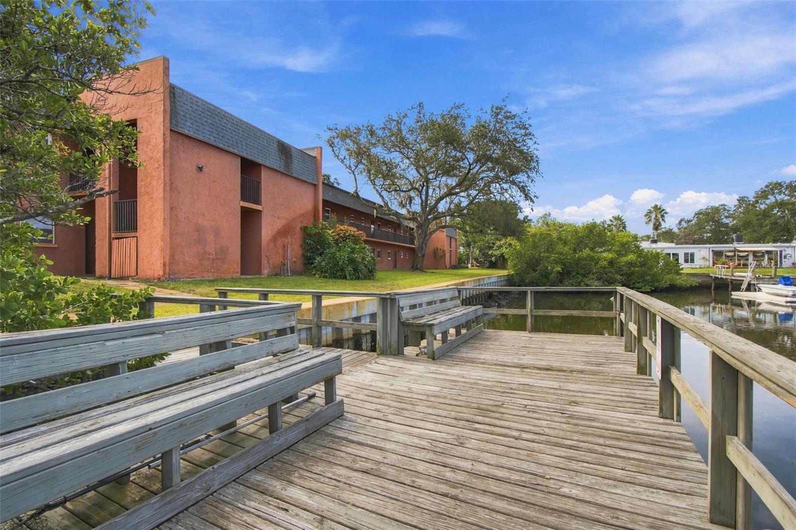 4805 ALT 19, #713, Palm Harbor, FL 34683