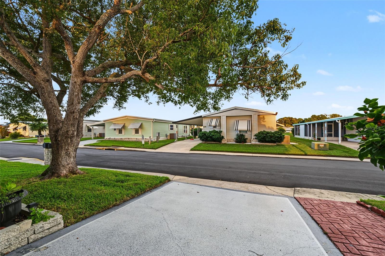 3207 BREWSTER DRIVE, Holiday, FL 34690