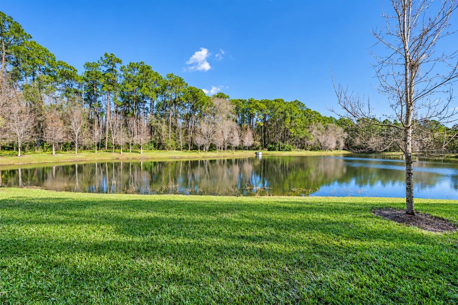 Back yard waterviews and conservation