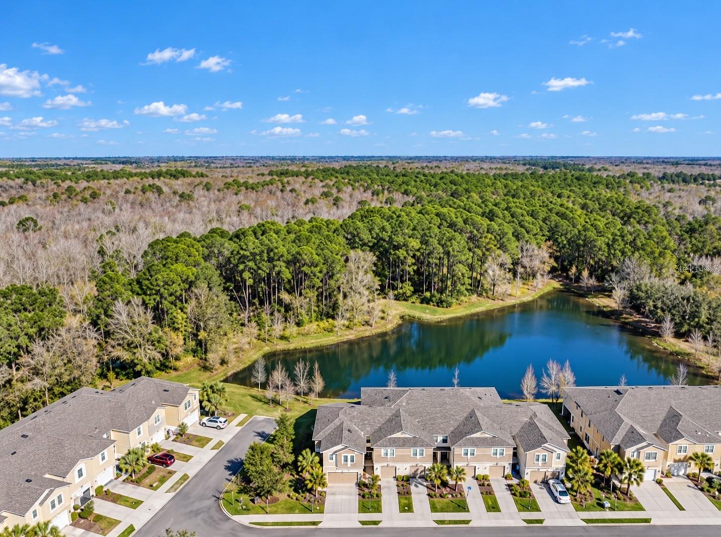 5527 CUMBERLAND STAR COURT, Lutz, FL 33558