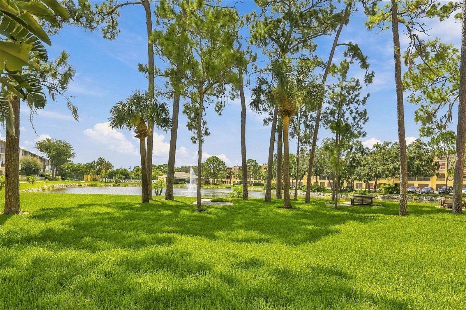 5817 PARK STREET N, #212, St Petersburg, FL 33709