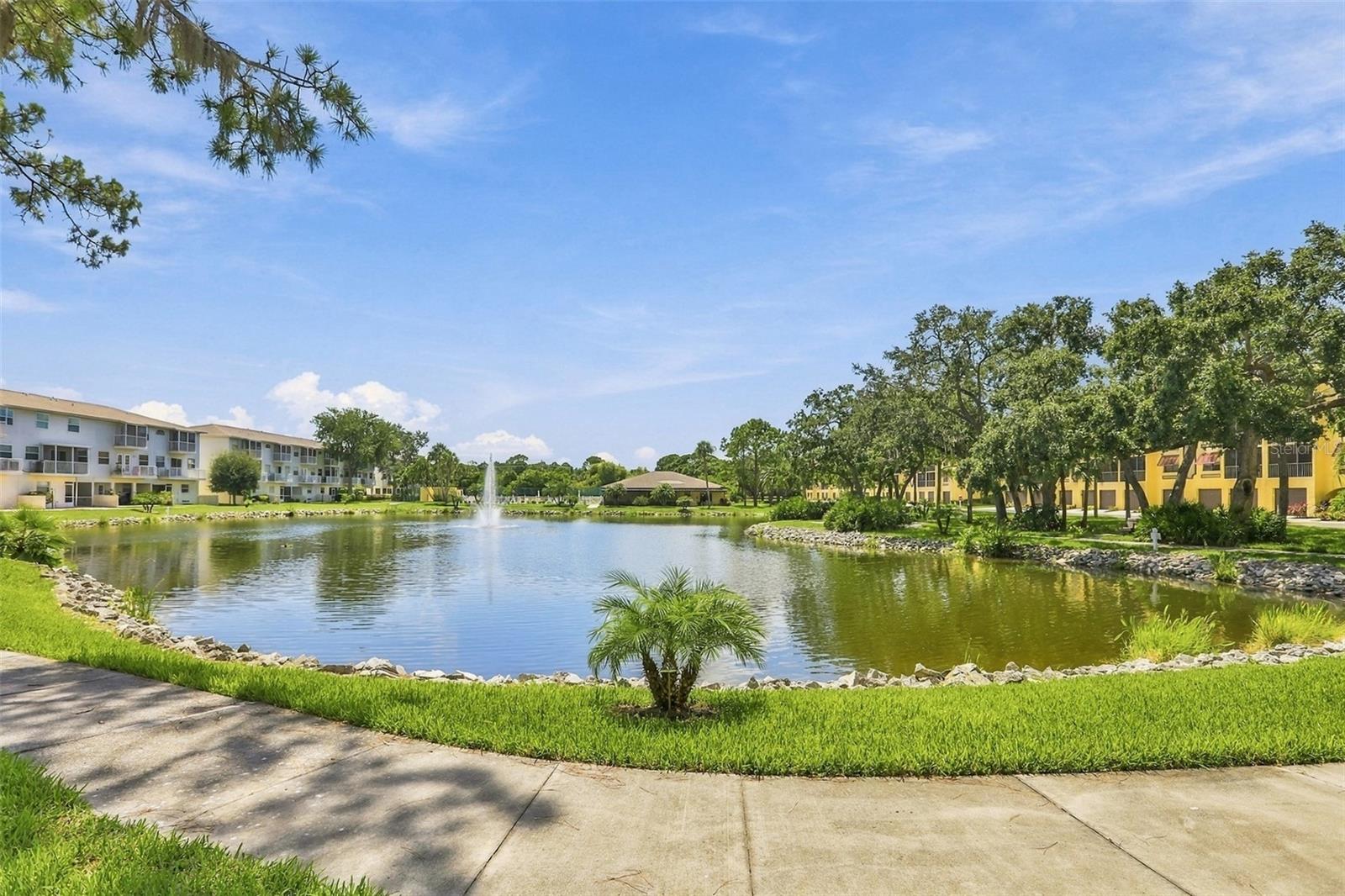 5817 PARK STREET N, #212, St Petersburg, FL 33709