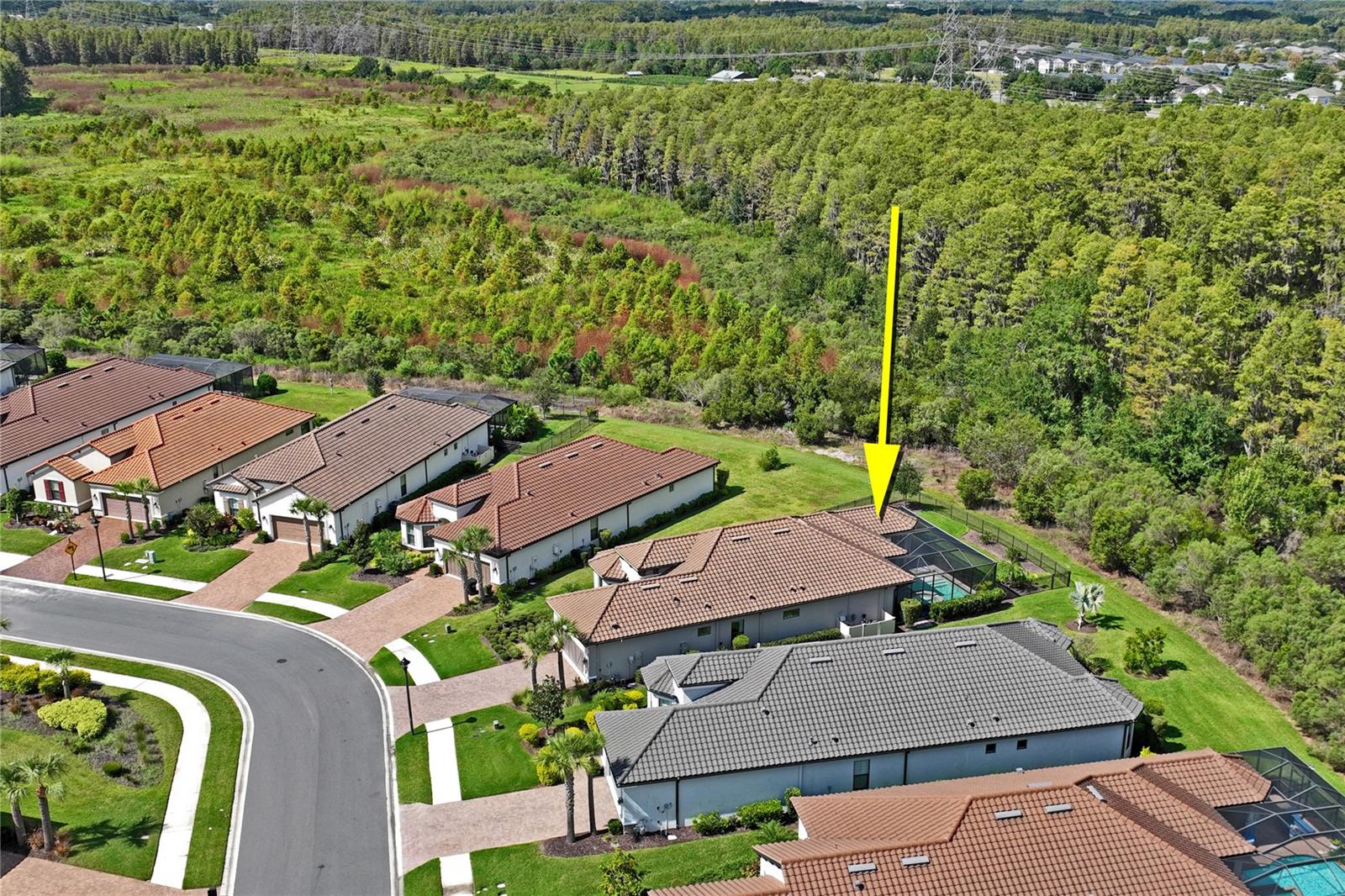 10813 CALLUNA DRIVE, Odessa, FL 33556