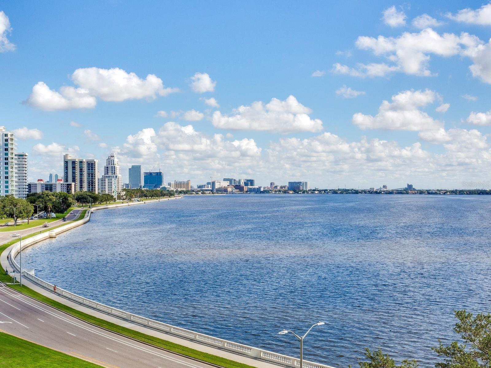 Tampa, FL 33629