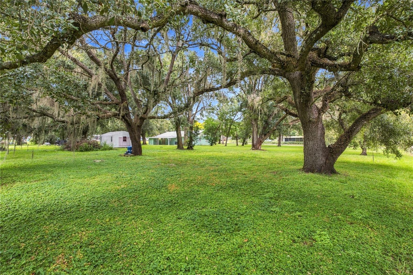 7245 HYLAN STREET, Zephyrhills, FL 33541