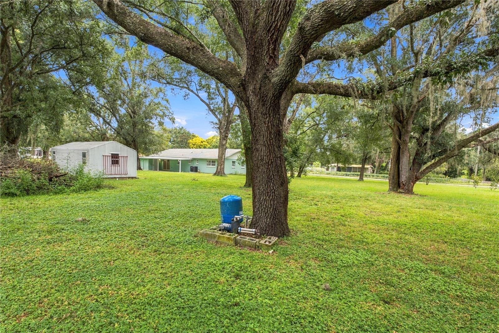 7245 HYLAN STREET, Zephyrhills, FL 33541