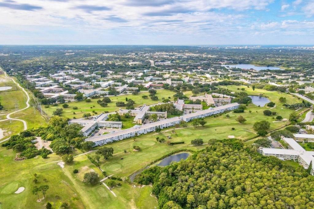 2255 PHILIPPINE DRIVE, #41, Clearwater, FL 33763