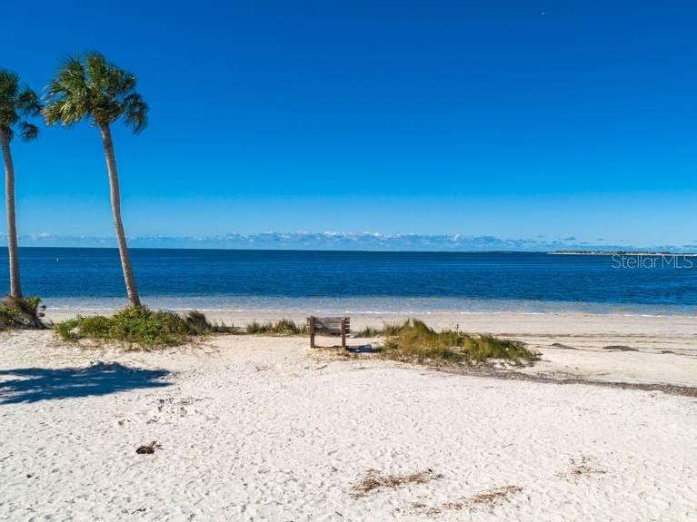 119 PARKSIDE COLONY DRIVE, Tarpon Springs, FL 34689