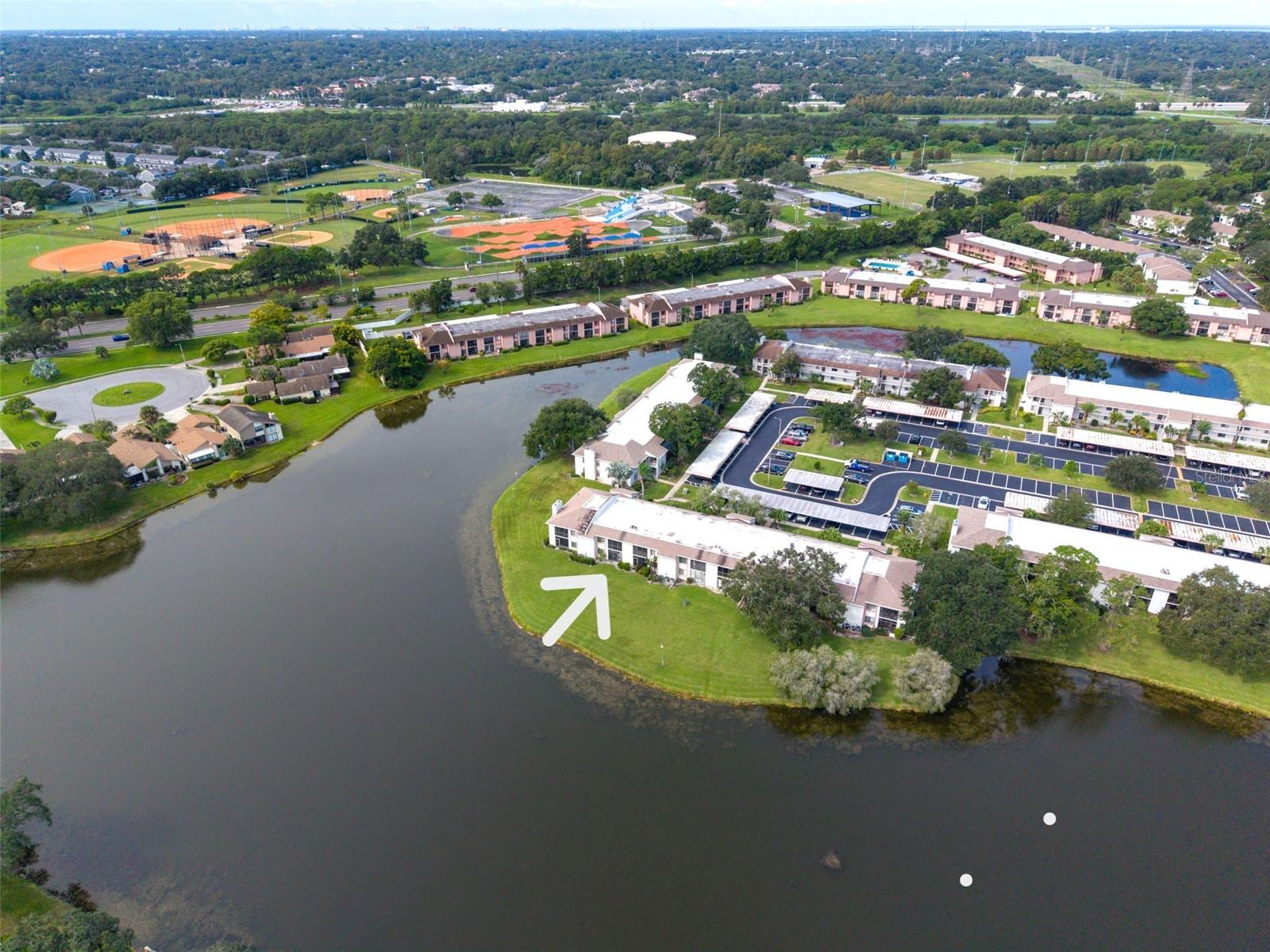 151 LAKEVIEW WAY, #151, Oldsmar, FL 34677
