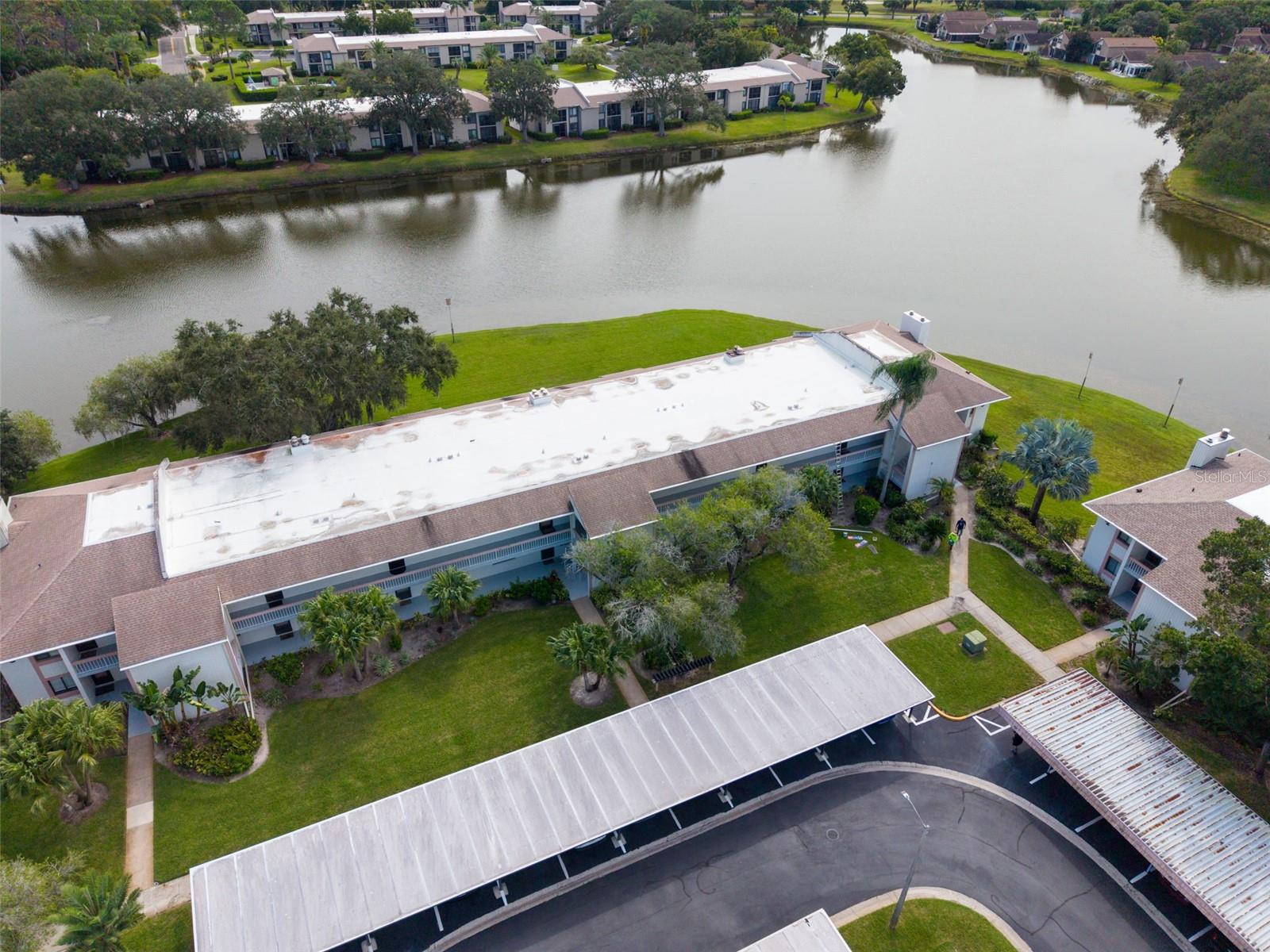 151 LAKEVIEW WAY, #151, Oldsmar, FL 34677