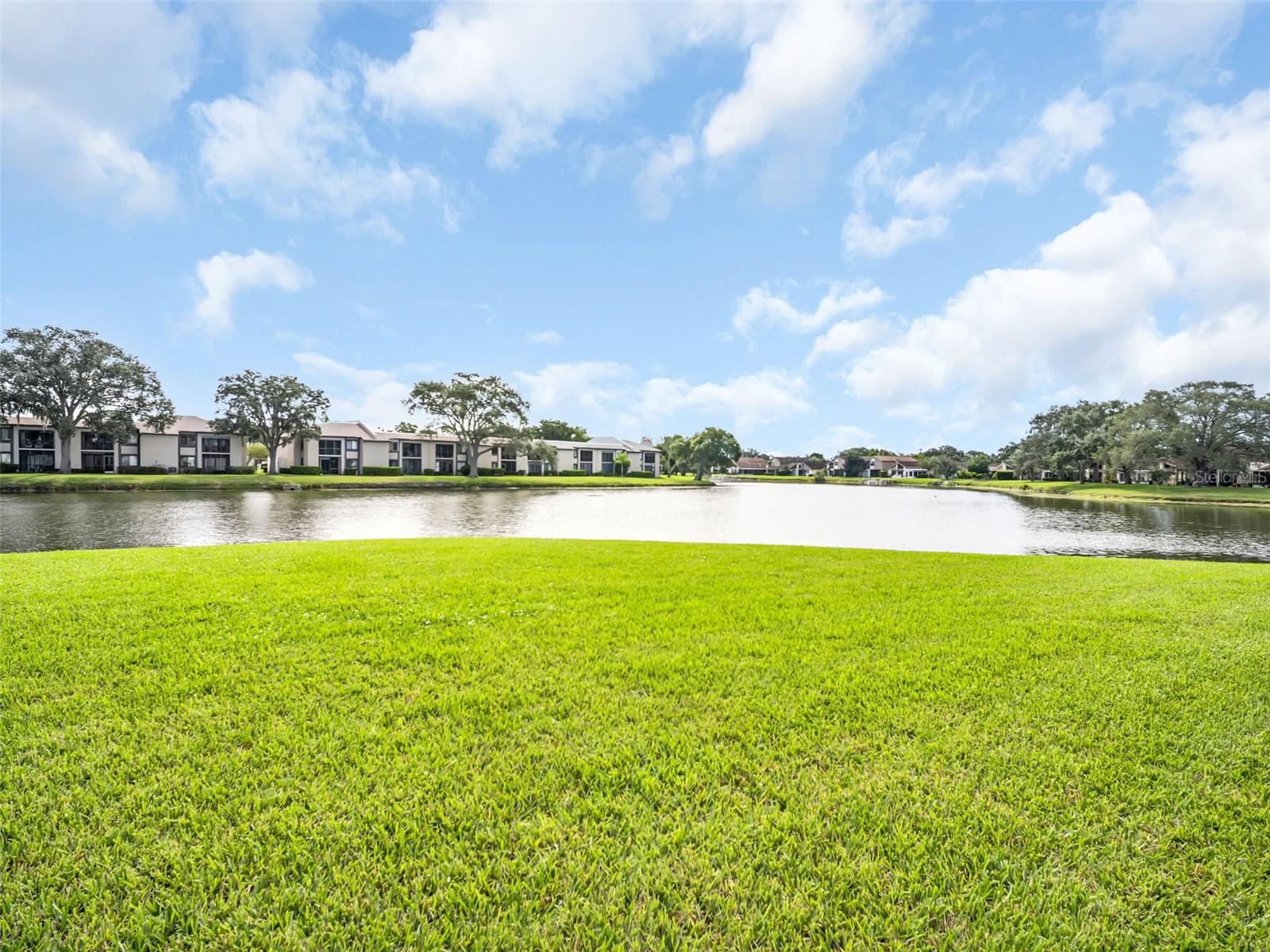 151 LAKEVIEW WAY, #151, Oldsmar, FL 34677