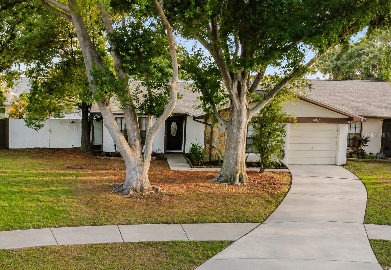 2031 DOVER COURT, Oldsmar, FL 34677 2031 DOVER COURT, Oldsmar, FL 34677