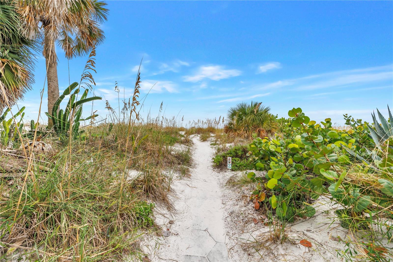 3575 GULF BOULEVARD, #103, St Pete Beach, FL 33706