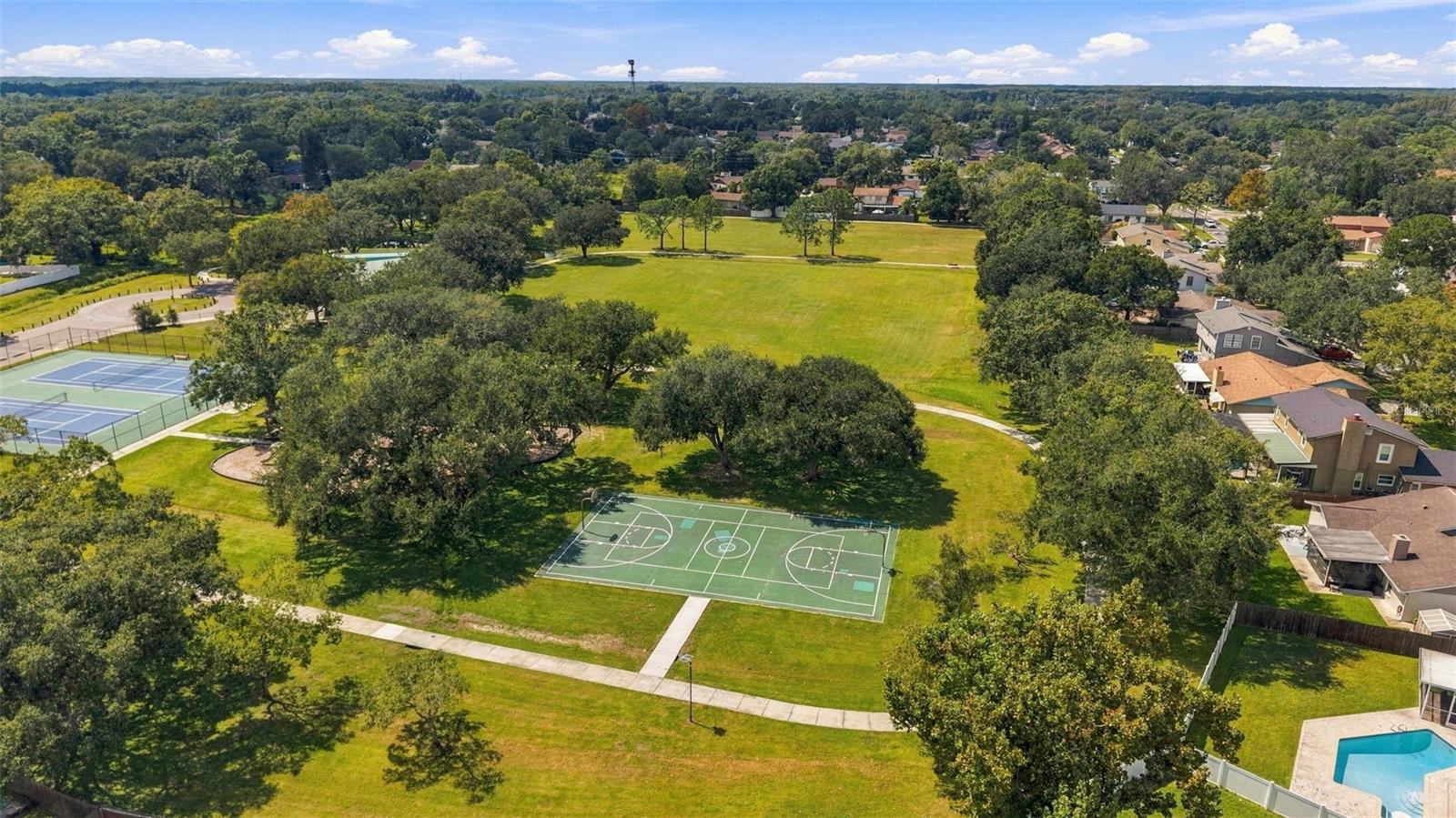 15801 COUNTRY LAKE DRIVE, Tampa, FL 33624