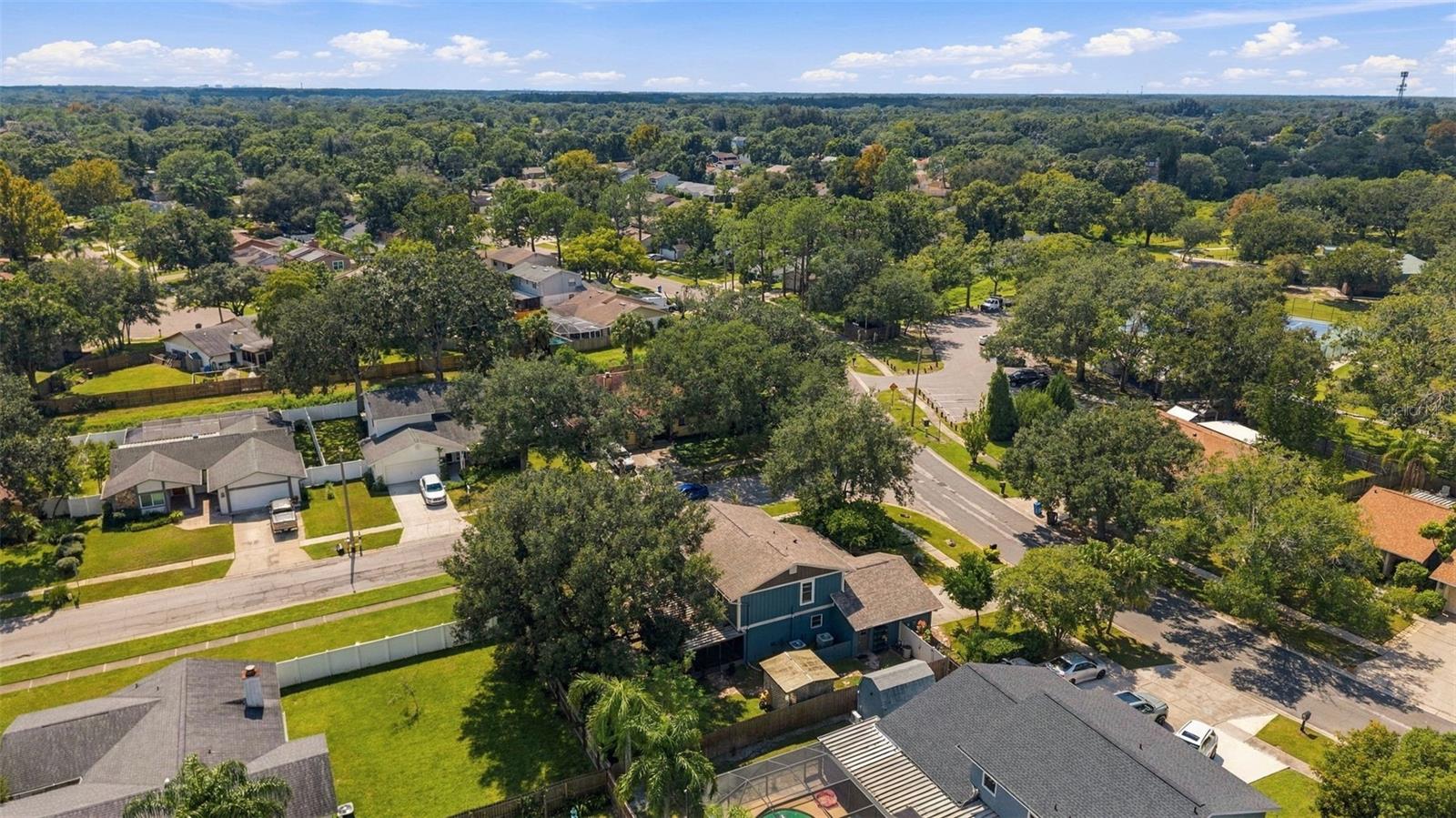 15801 COUNTRY LAKE DRIVE, Tampa, FL 33624