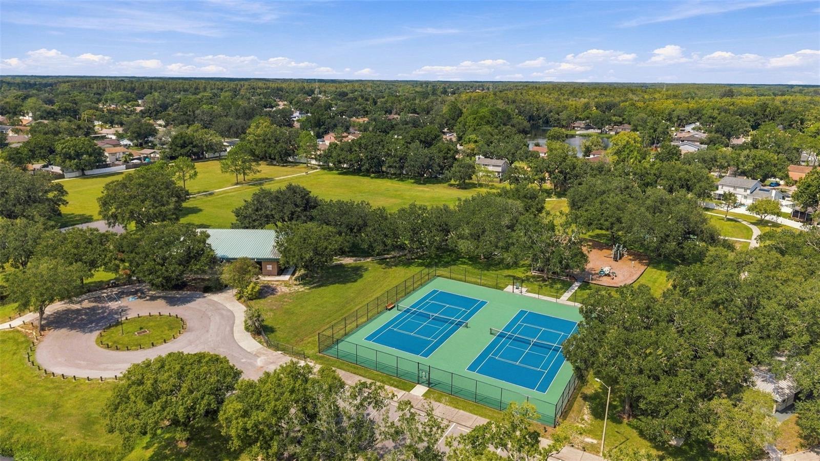 15801 COUNTRY LAKE DRIVE, Tampa, FL 33624