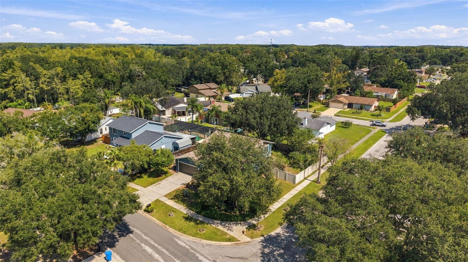 15801 COUNTRY LAKE DRIVE, Tampa, FL 33624