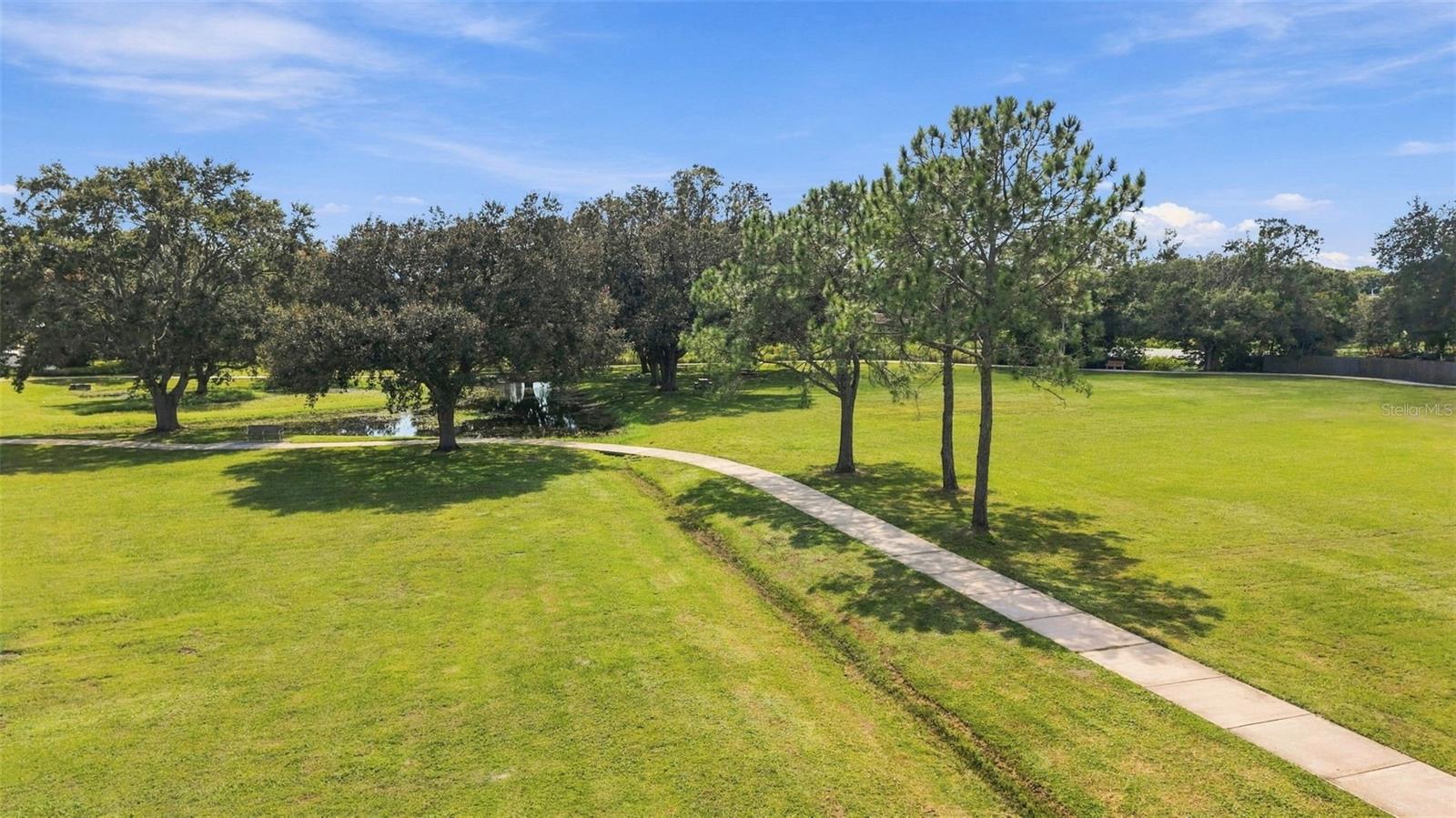 15801 COUNTRY LAKE DRIVE, Tampa, FL 33624