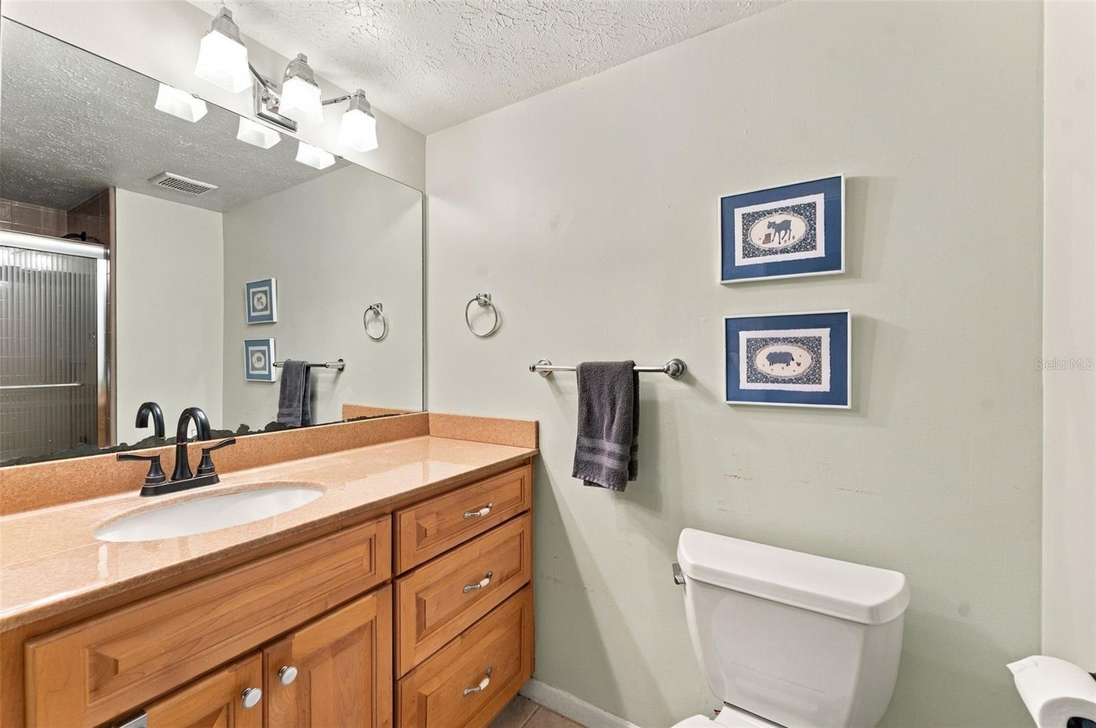 15801 COUNTRY LAKE DRIVE, Tampa, FL 33624