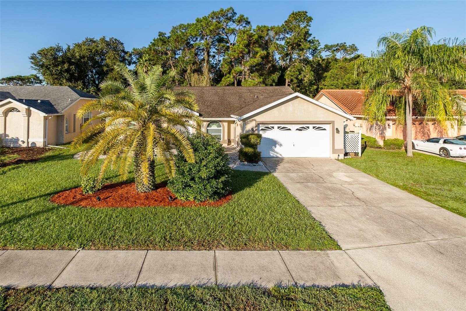 5343 SAGAMORE COURT, New Port Richey, FL 34655