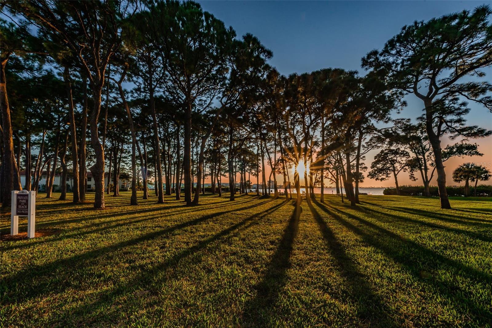 2700 BAYSHORE BOULEVARD, #525, Dunedin, FL 34698