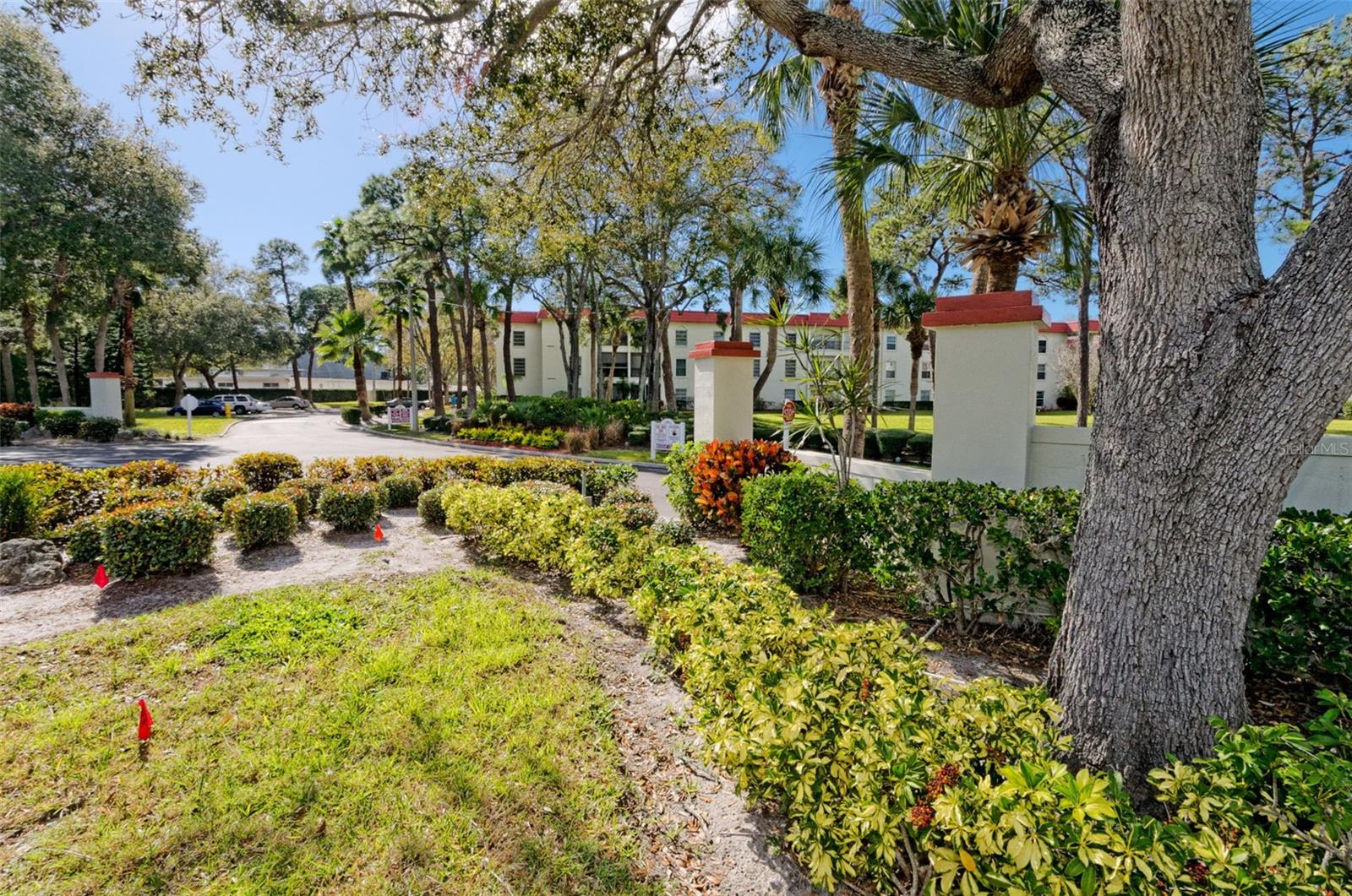 2700 BAYSHORE BOULEVARD, #525, Dunedin, FL 34698