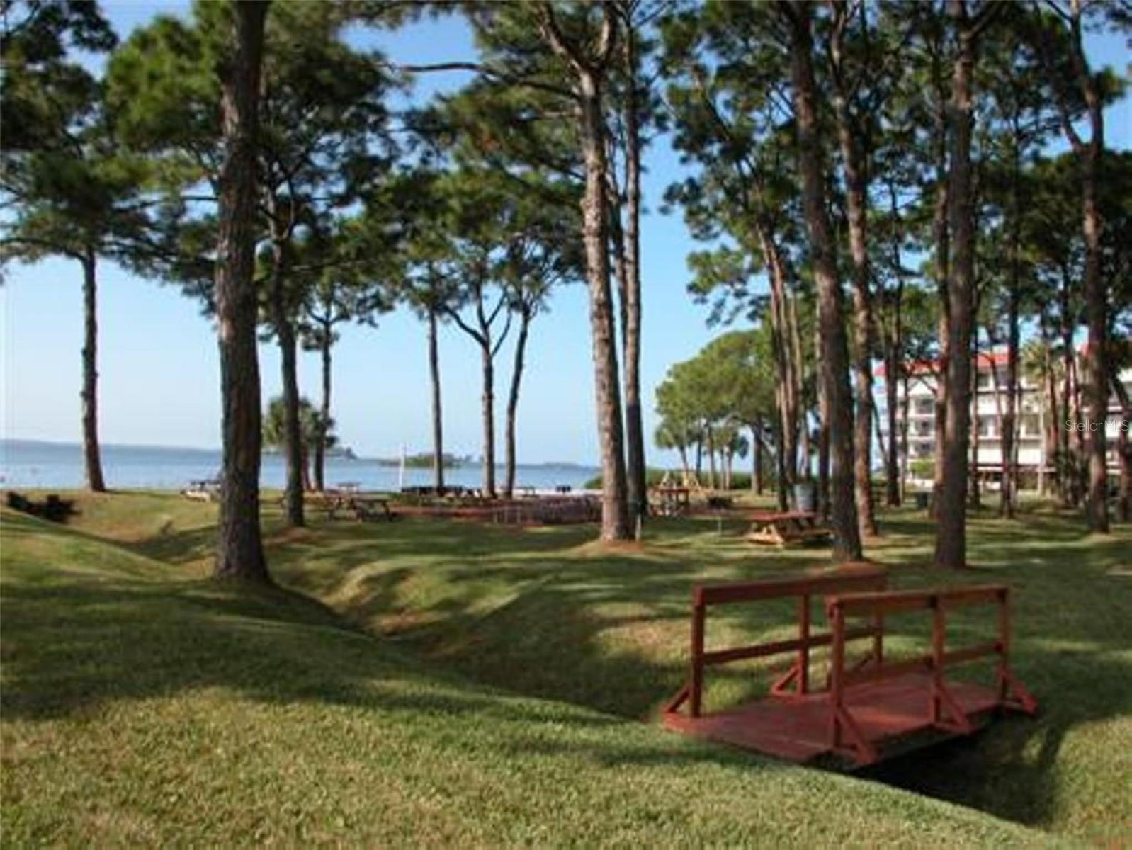 2700 BAYSHORE BOULEVARD, #11-105, Dunedin, FL 34698