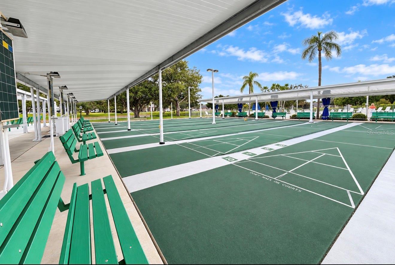 Shuffleboard