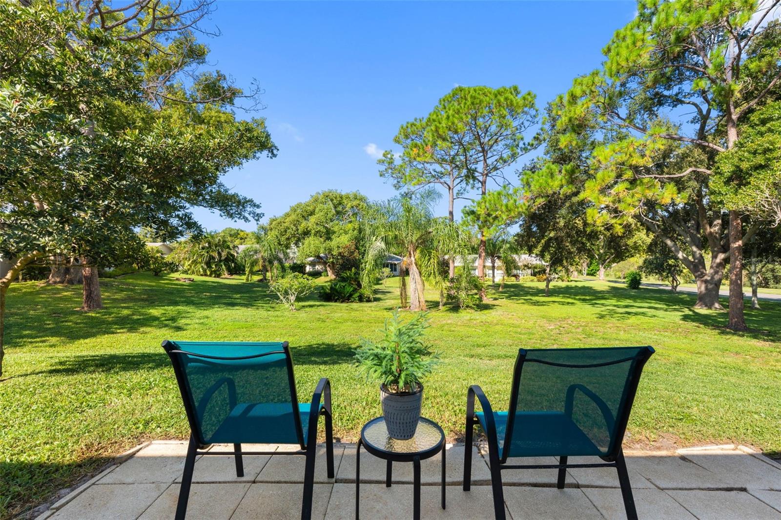1681 MACDONNELL COURT, Palm Harbor, FL 34684
