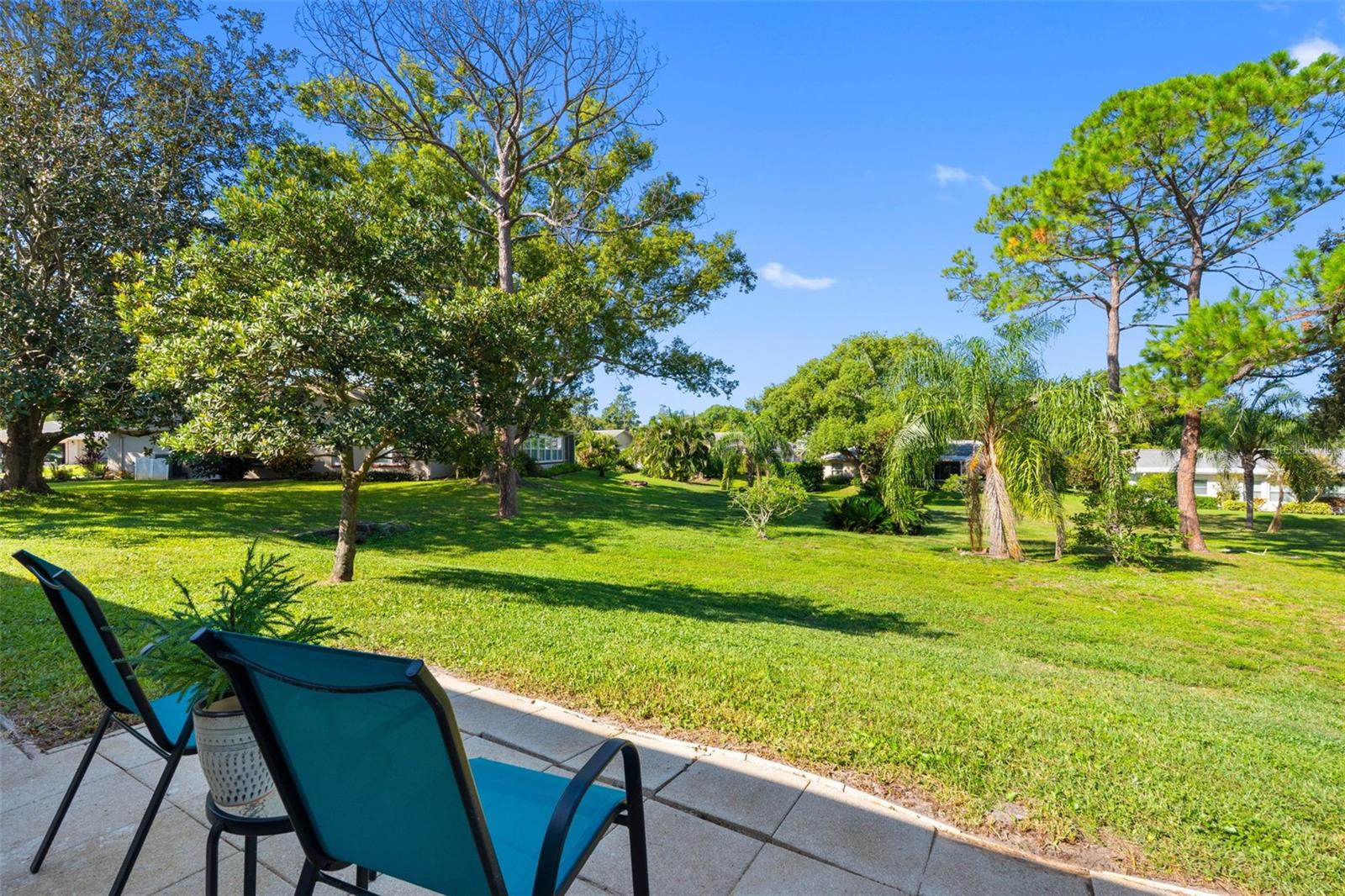 1681 MACDONNELL COURT, Palm Harbor, FL 34684