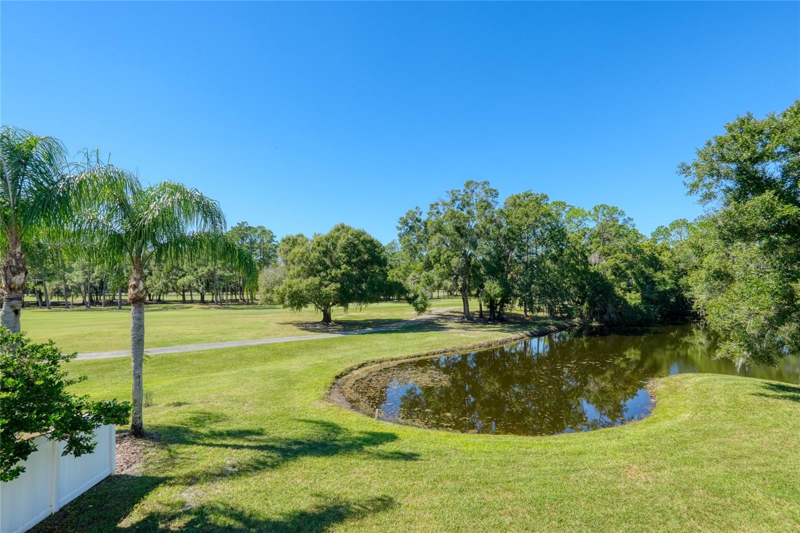 15906 PRINCE WILLIAM PLACE, Odessa, FL 33556