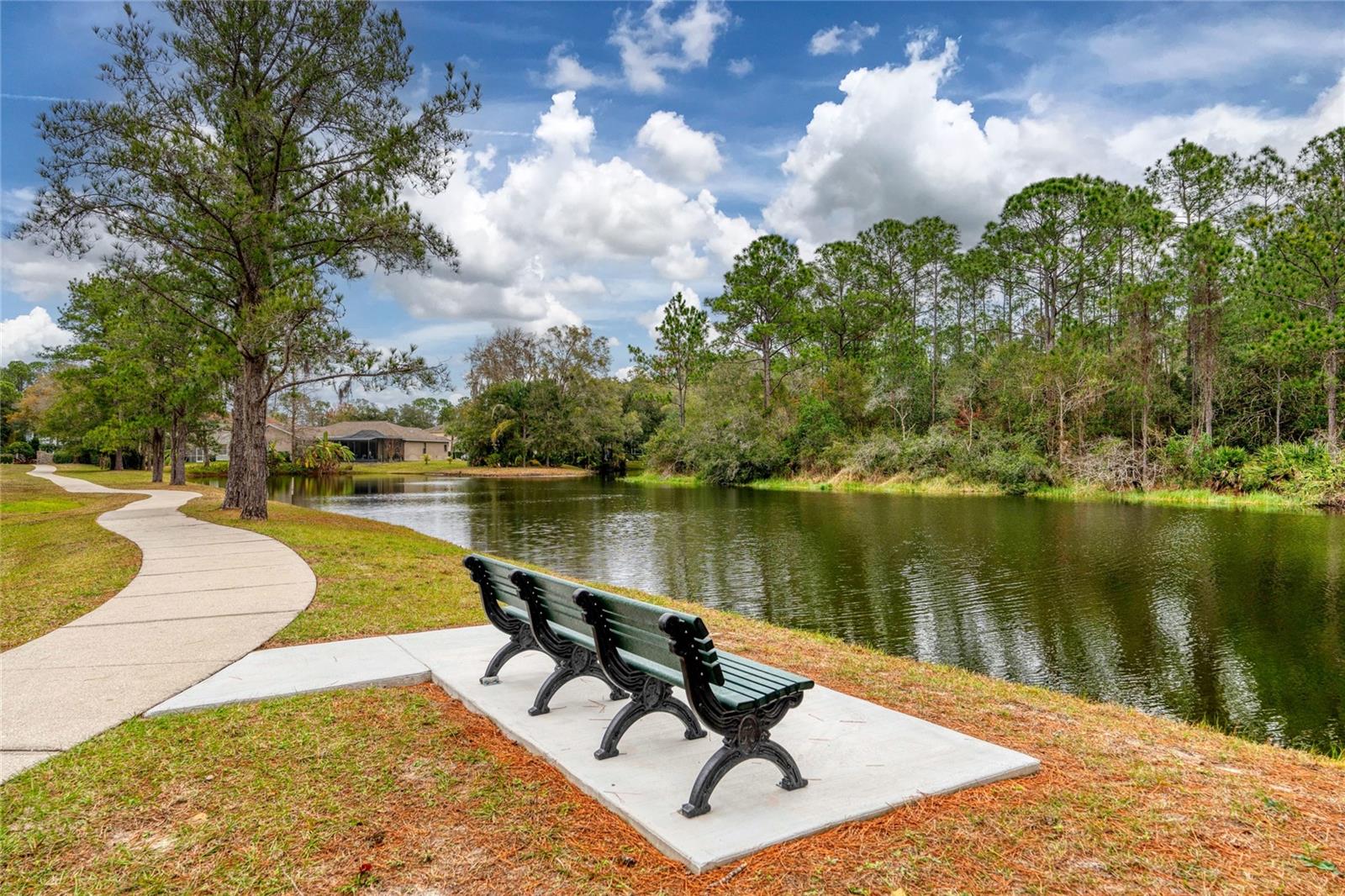 15906 PRINCE WILLIAM PLACE, Odessa, FL 33556