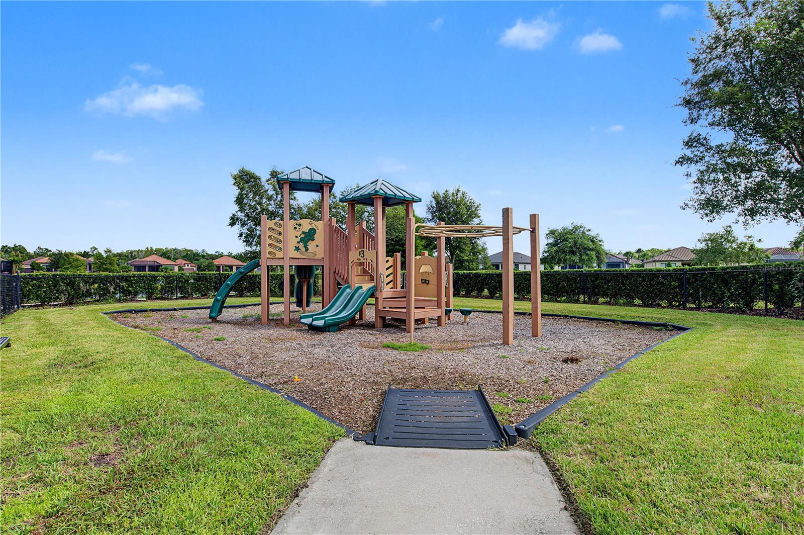 11435 CALLISIA DRIVE, Odessa, FL 33556