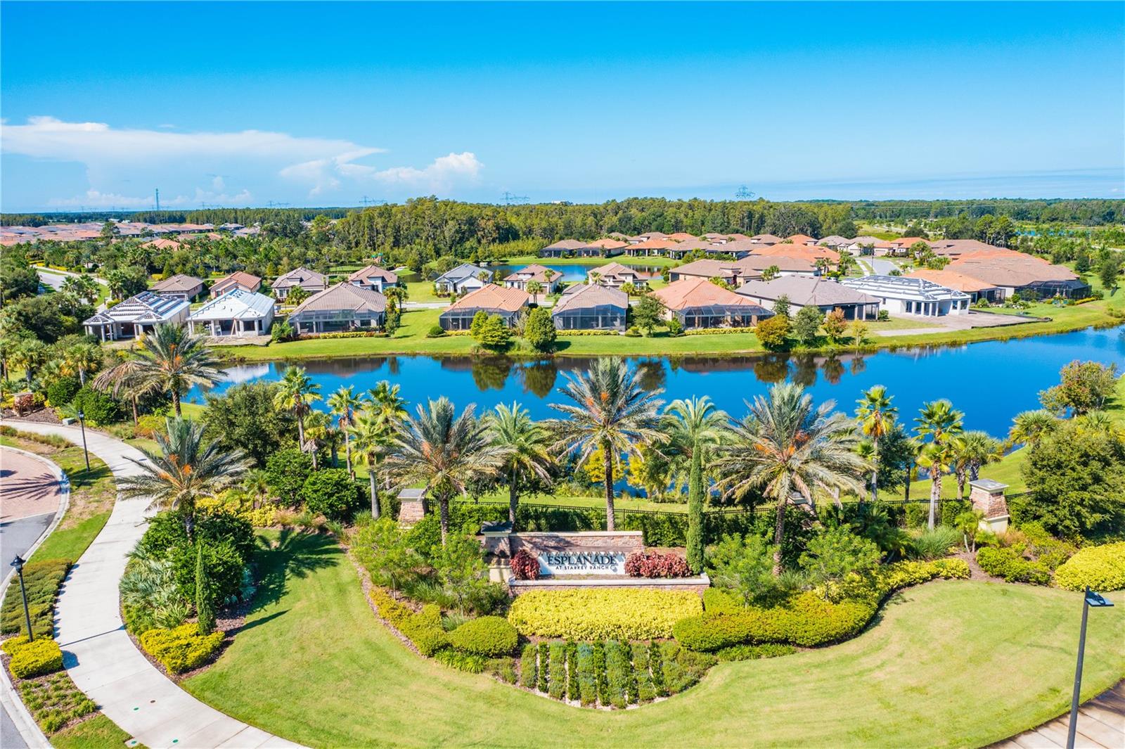11435 CALLISIA DRIVE, Odessa, FL 33556