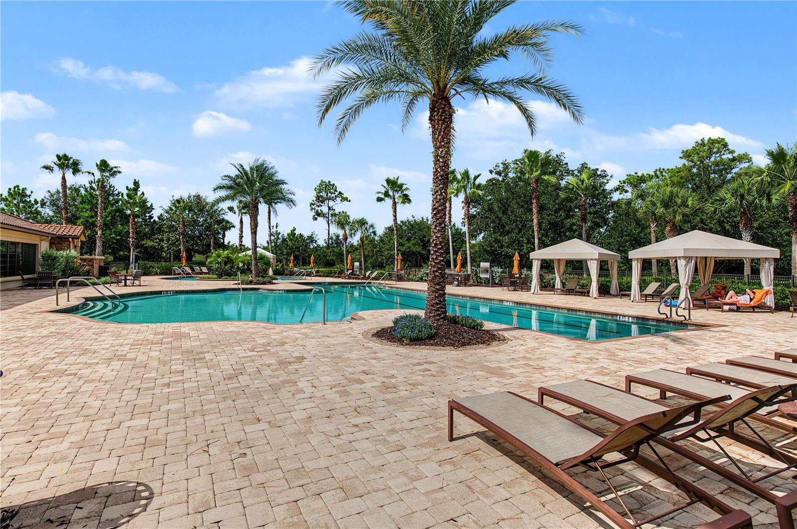 11435 CALLISIA DRIVE, Odessa, FL 33556
