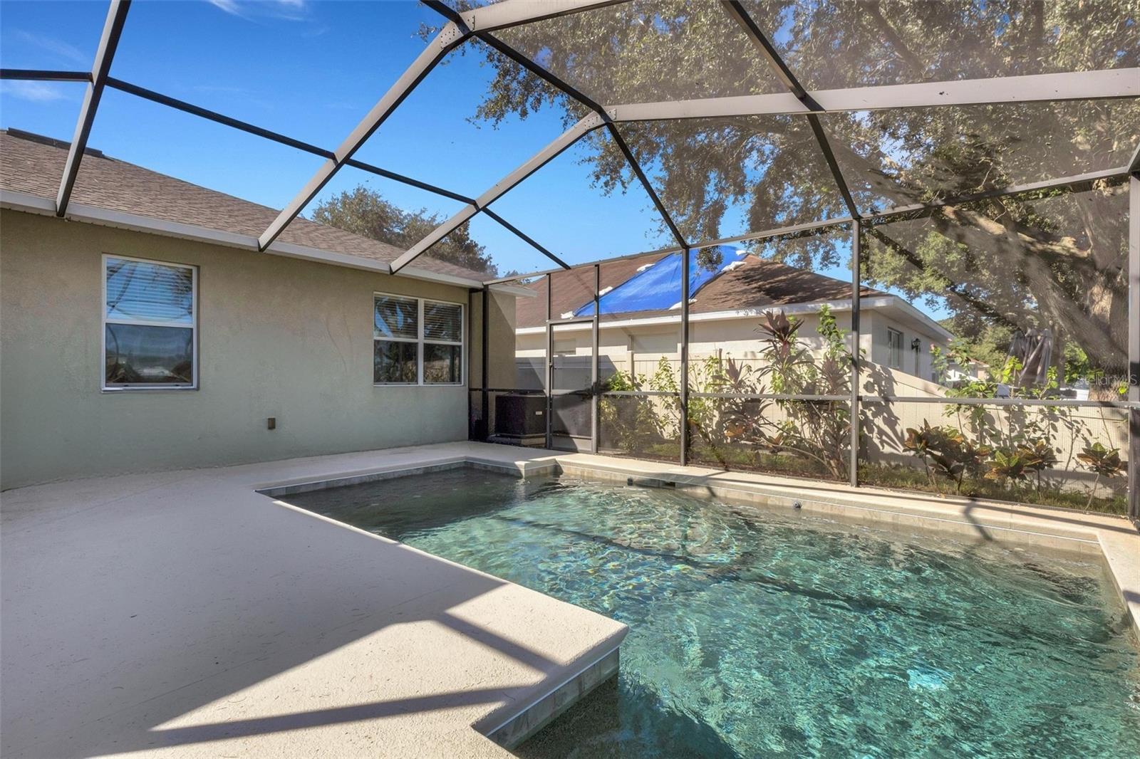 Pool & Pool Cage