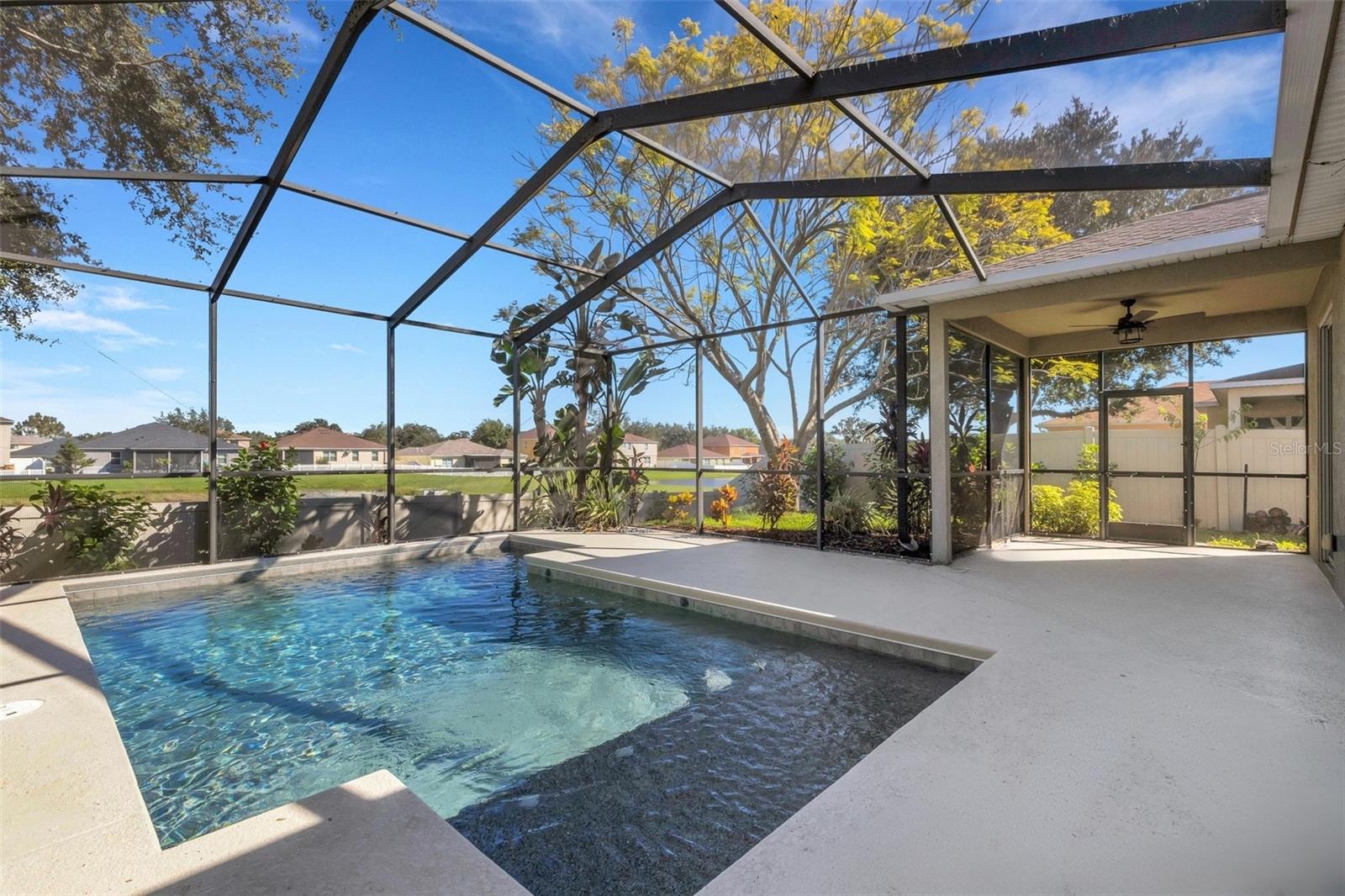Pool & Pool Cage