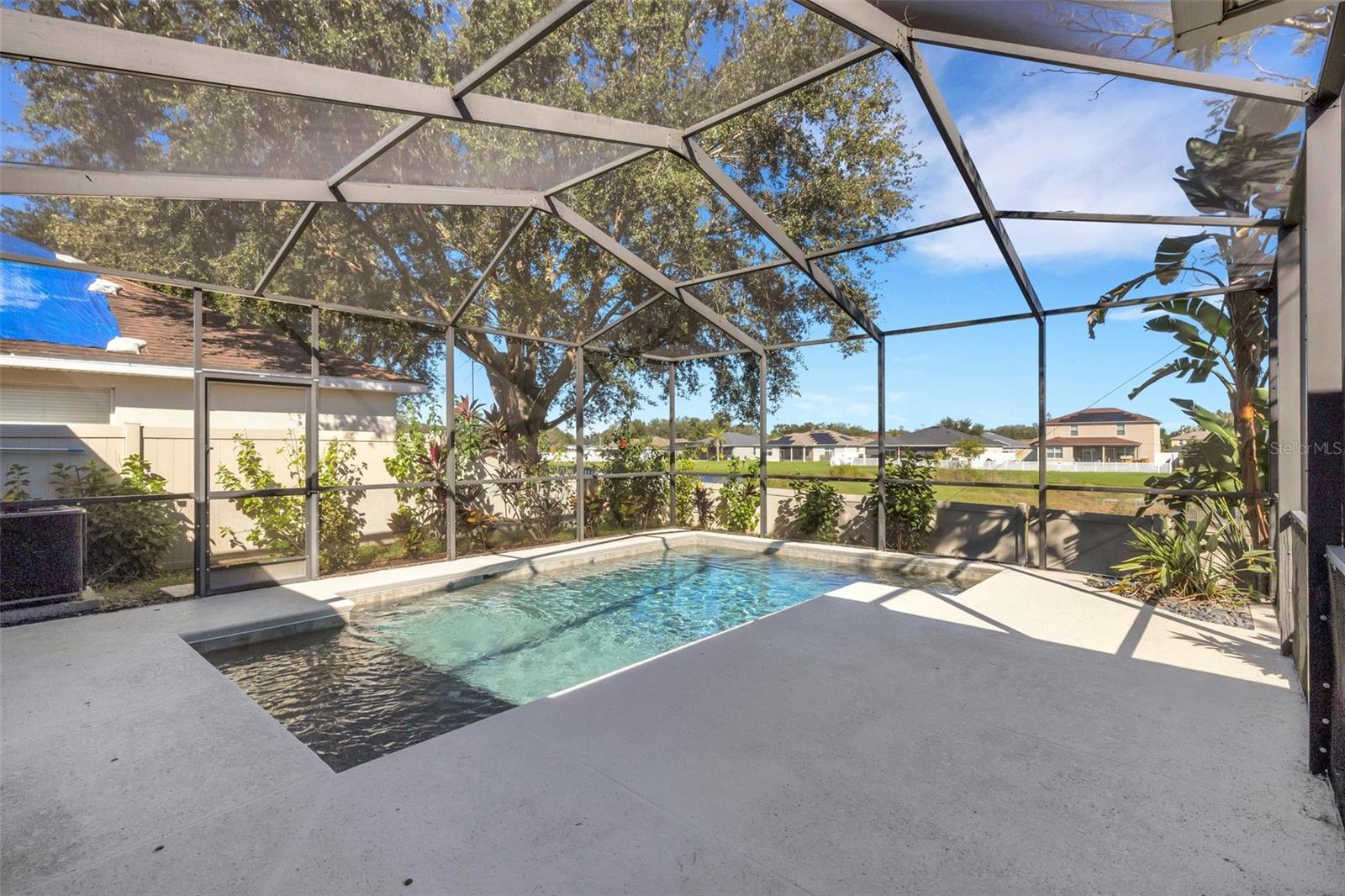Pool & Pool Cage