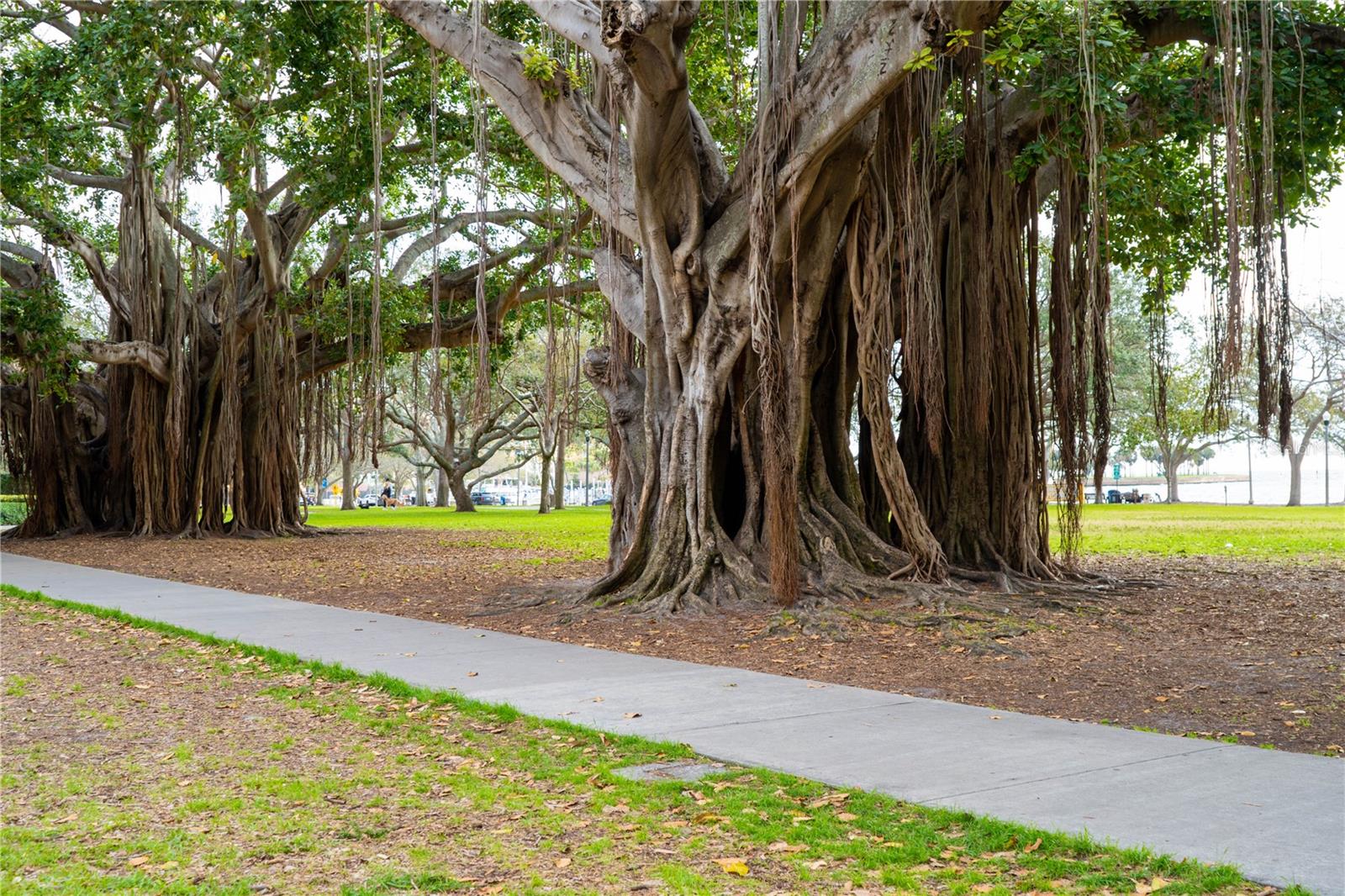 100 4TH AVENUE S, #307, St Petersburg, FL 33701