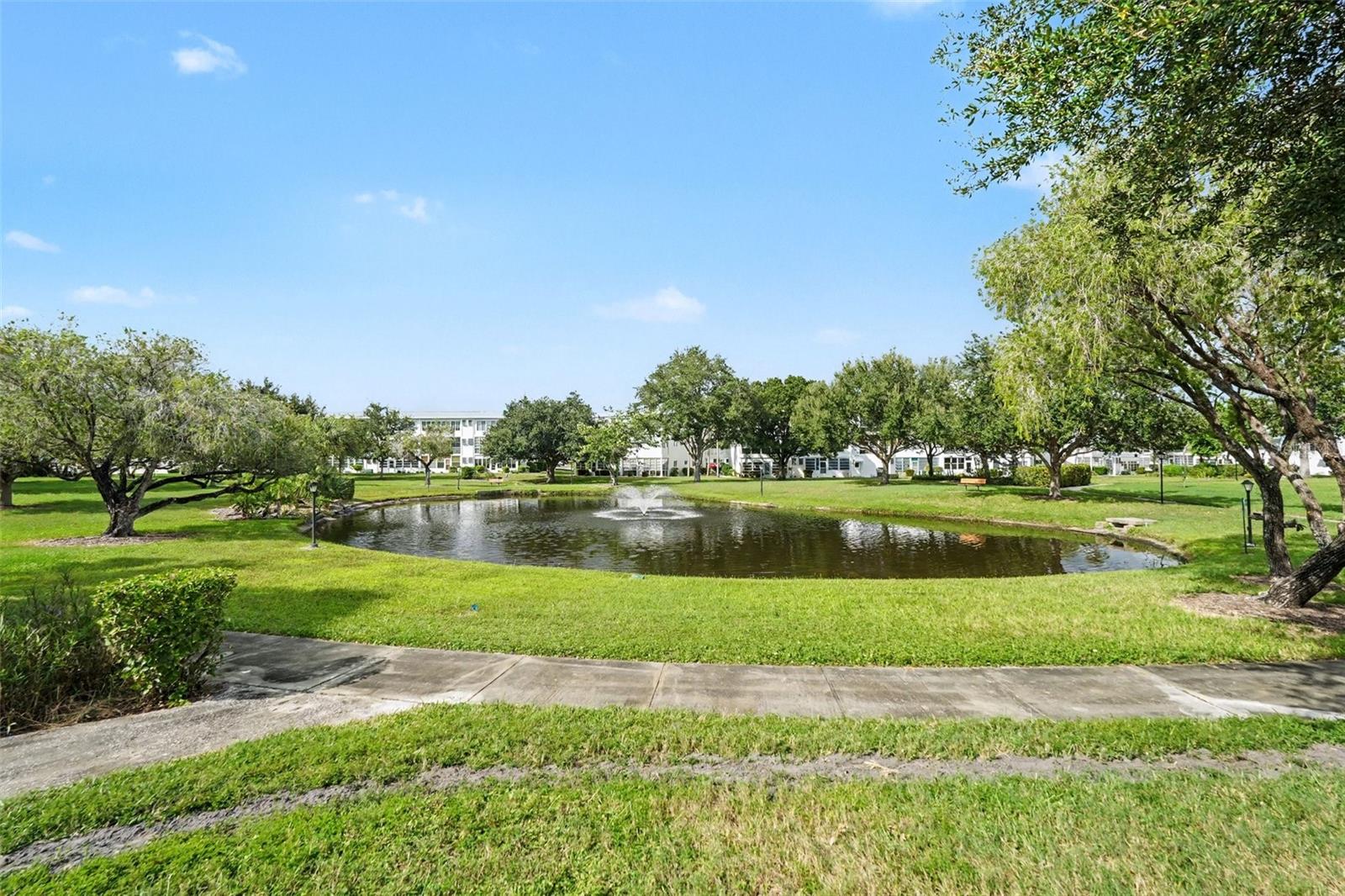 Beautiful views of the pond with waterfall!