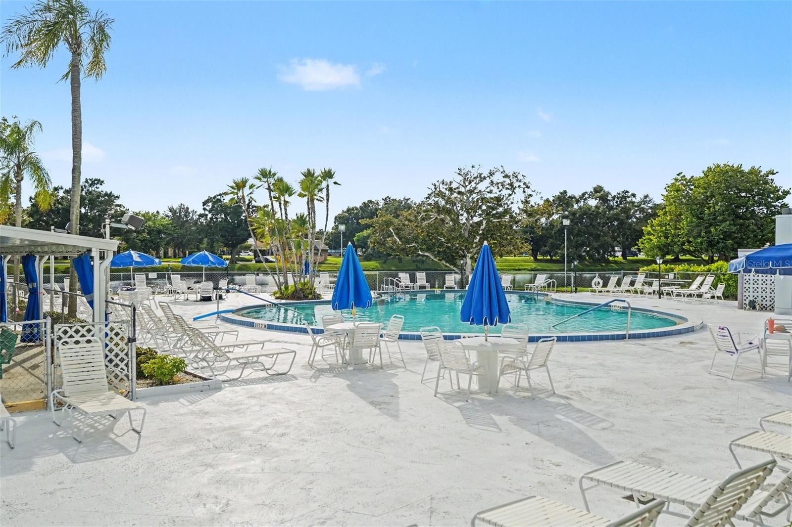 Lovely pool area just off the shuffle board courts and has a view of the water too!