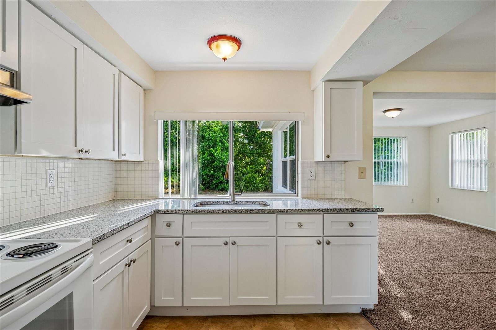 3350 WILTSHIRE DRIVE, Holiday, FL 34691