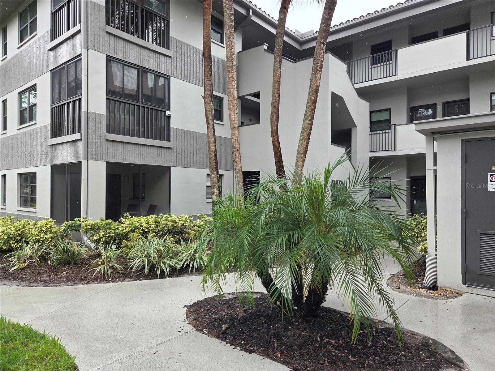 2650 COUNTRYSIDE BOULEVARD, #F202, Clearwater, FL 33761