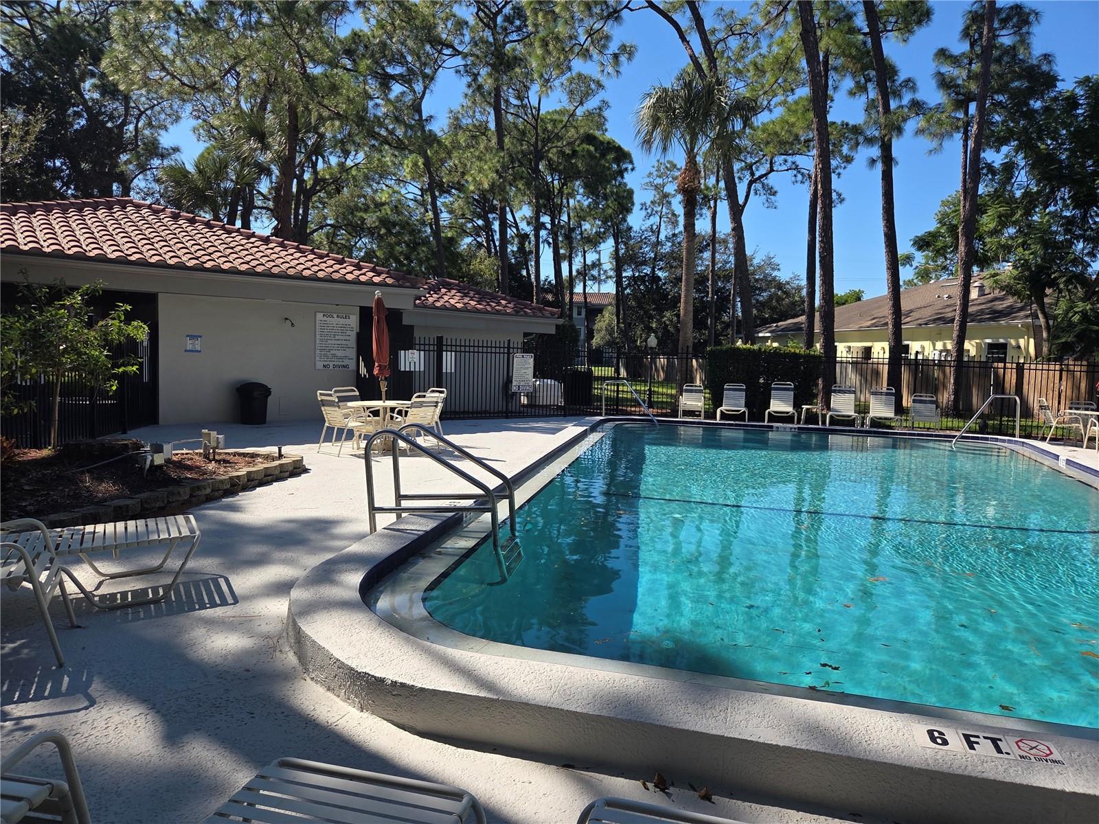 2650 COUNTRYSIDE BOULEVARD, #F202, Clearwater, FL 33761