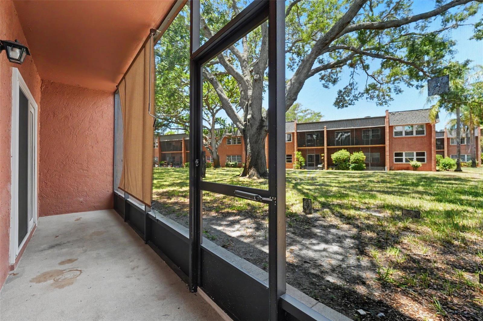 4805 ALT 19, #114, Palm Harbor, FL 34683