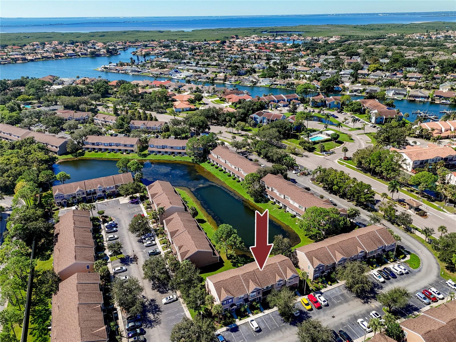 Aerial View -6229 Bayside Key Dr, Tampa, FL 33615